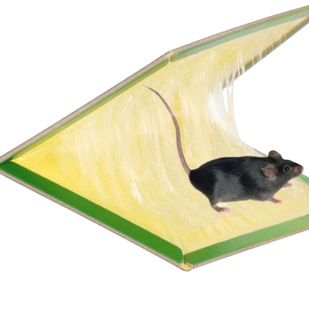 PUŁAPKA NA MYSZY LEP NA SZCZURY MYSZOŁAPKA ZAPACHOWA SILNY KLEJ MEGA MOCNA
