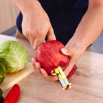 DRYWOLNICA DO JABŁEK DRYLOWNICA DO GRUSZEK STALOWA DO OWOCÓW WYKRAWACZ