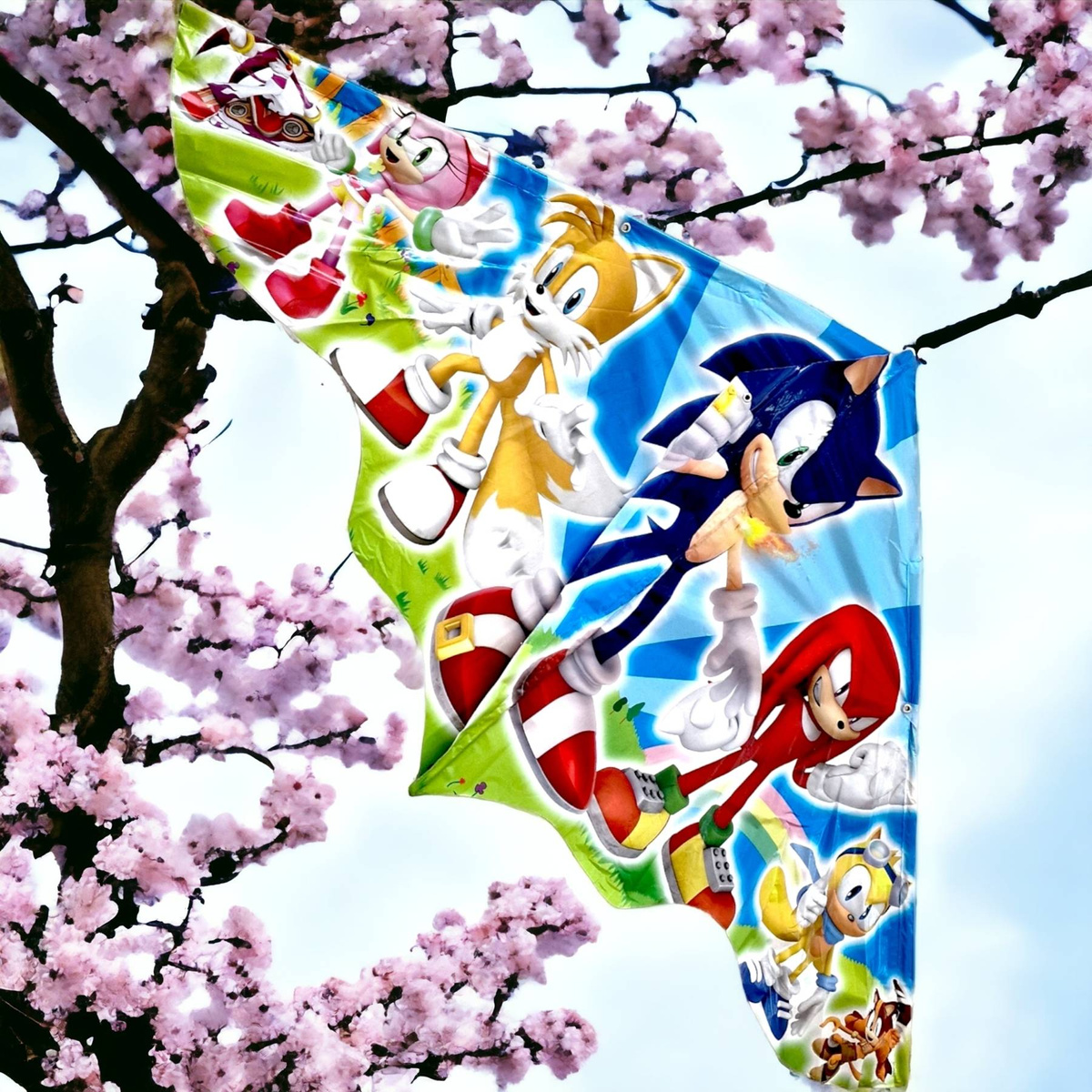 SONIC Latawiec Dla Dzieci 120x60cm