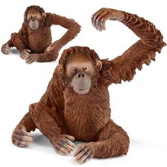 SCHLEICH Wild Life Figurka Orangutan samica 14775