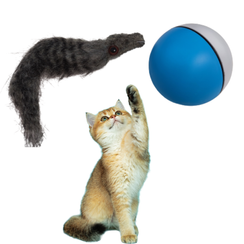 Zabawka dla kota / psa - Uciekająca fretka z piłką