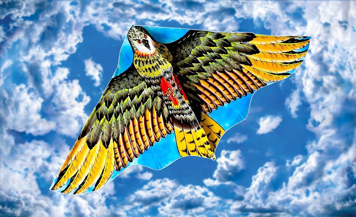 Duży latawiec z wizerunkiem orła - 60 x 120 cm