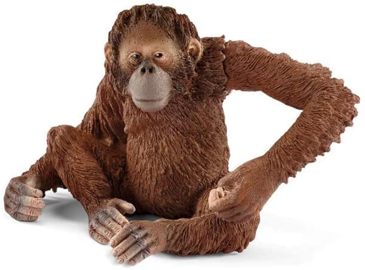 SCHLEICH Wild Life Figurka Orangutan samica 14775