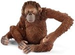 SCHLEICH Wild Life Figurka Orangutan samica 14775