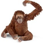 SCHLEICH Wild Life Figurka Orangutan samica 14775